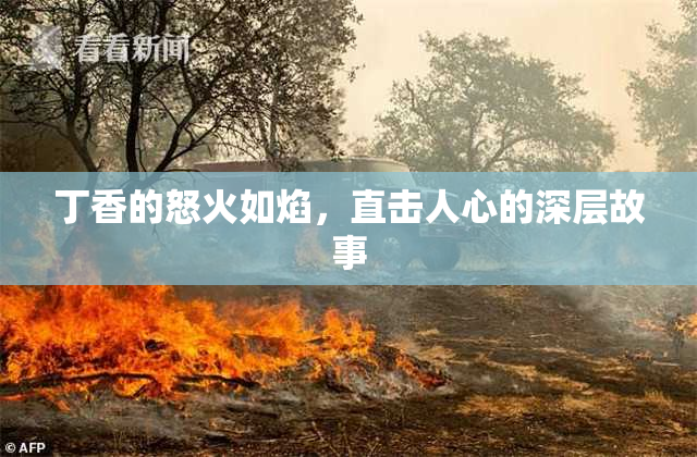 丁香的怒火如焰，直击人心的深层故事
