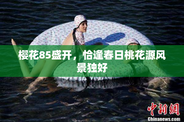樱花85盛开，恰逢春日桃花源风景独好