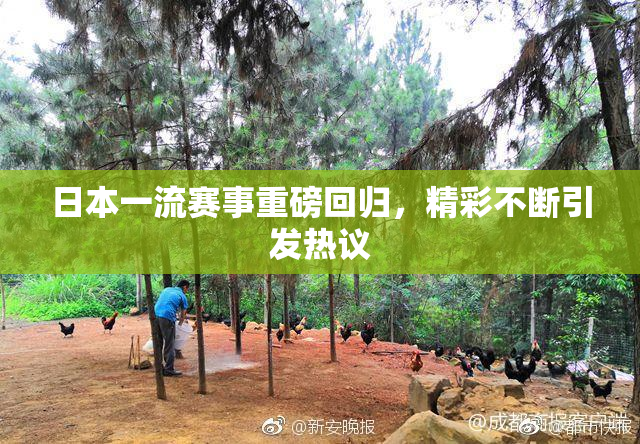 日本一流赛事重磅回归，精彩不断引发热议