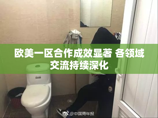 欧美一区合作成效显著 各领域交流持续深化