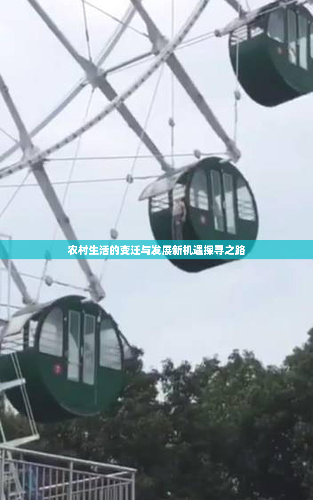 农村生活的变迁与发展新机遇探寻之路