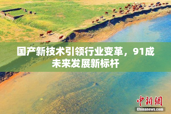 国产新技术引领行业变革，91成未来发展新标杆