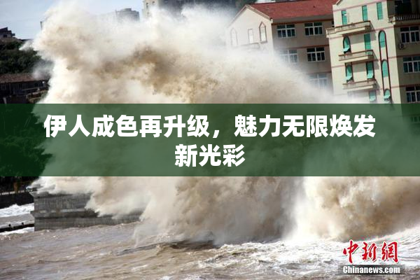 伊人成色再升级，魅力无限焕发新光彩