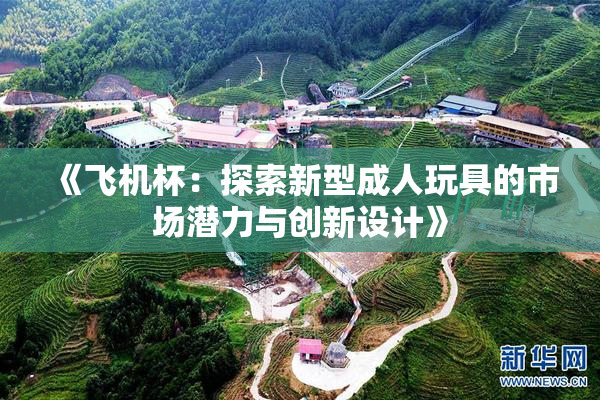 《飞机杯：探索新型成人玩具的市场潜力与创新设计》