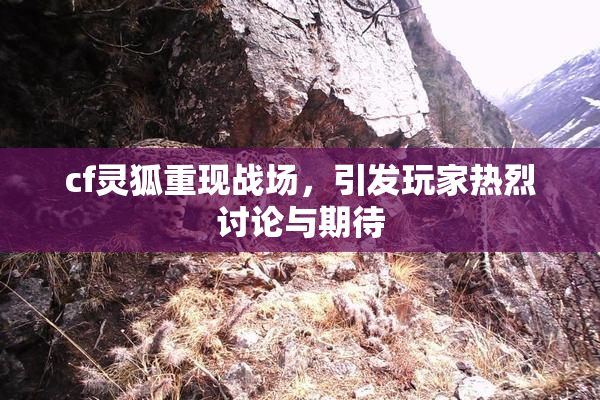 cf灵狐重现战场，引发玩家热烈讨论与期待