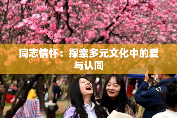 同志情怀：探索多元文化中的爱与认同