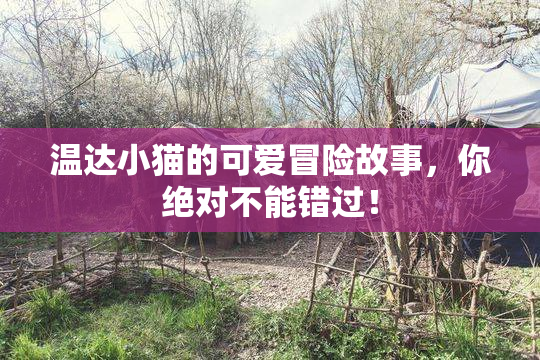 温达小猫的可爱冒险故事，你绝对不能错过！