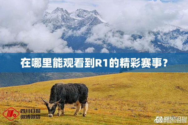 在哪里能观看到R1的精彩赛事？
