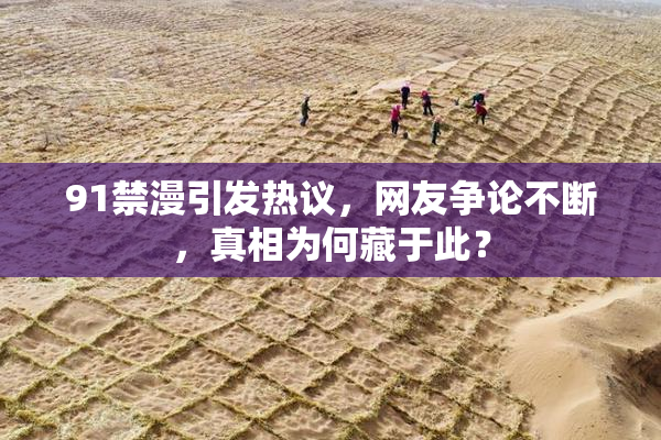 91禁漫引发热议，网友争论不断，真相为何藏于此？