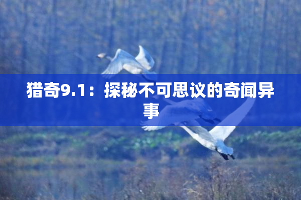 猎奇9.1：探秘不可思议的奇闻异事