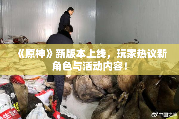 《原神》新版本上线，玩家热议新角色与活动内容！