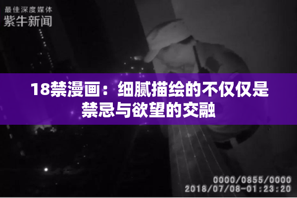 18禁漫画：细腻描绘的不仅仅是禁忌与欲望的交融