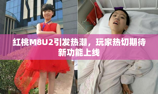 红桃M8U2引发热潮，玩家热切期待新功能上线