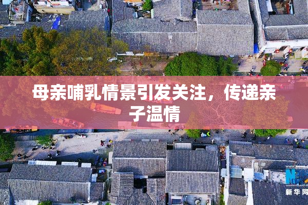 母亲哺乳情景引发关注，传递亲子温情
