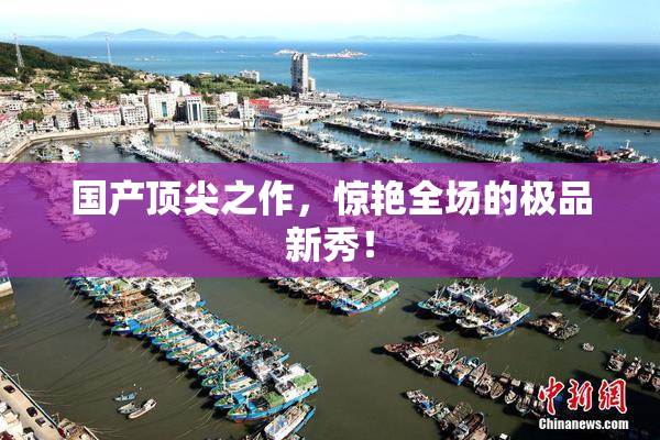 国产顶尖之作，惊艳全场的极品新秀！