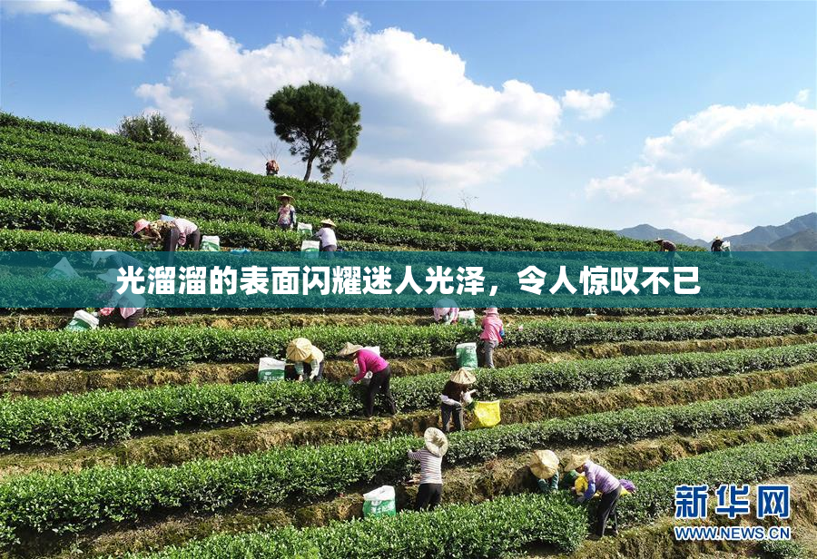 光溜溜的表面闪耀迷人光泽，令人惊叹不已