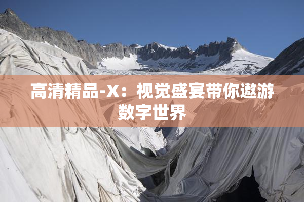 高清精品-X：视觉盛宴带你遨游数字世界