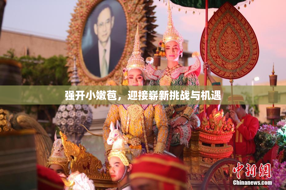 强开小嫩苞，迎接崭新挑战与机遇