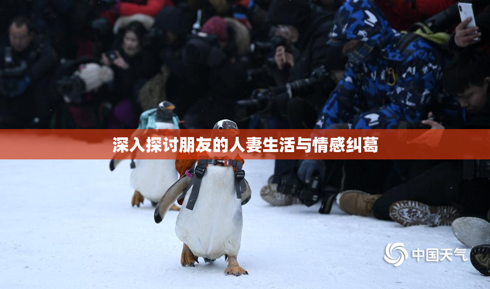 深入探讨朋友的人妻生活与情感纠葛
