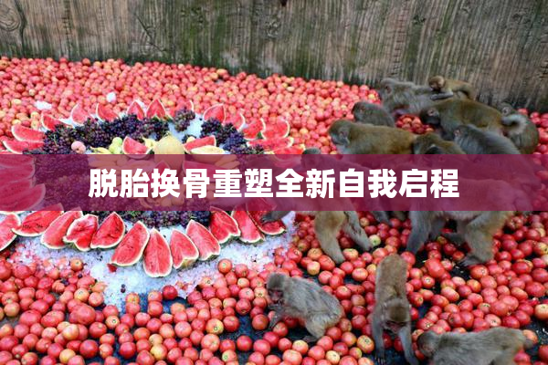 脱胎换骨重塑全新自我启程