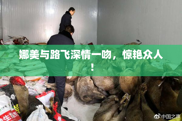 娜美与路飞深情一吻，惊艳众人！