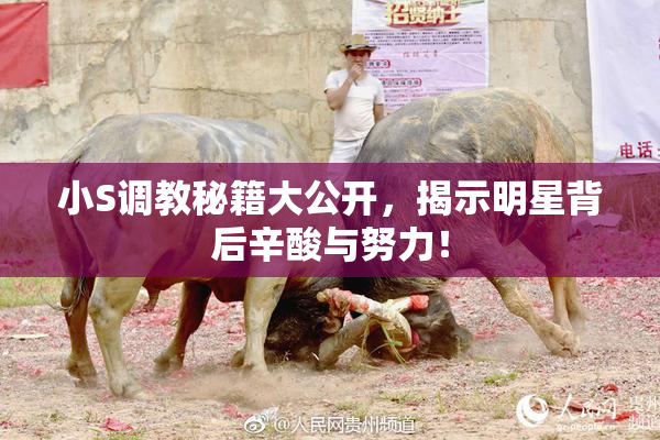 小S调教秘籍大公开，揭示明星背后辛酸与努力！