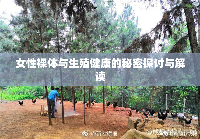 女性裸体与生殖健康的秘密探讨与解读