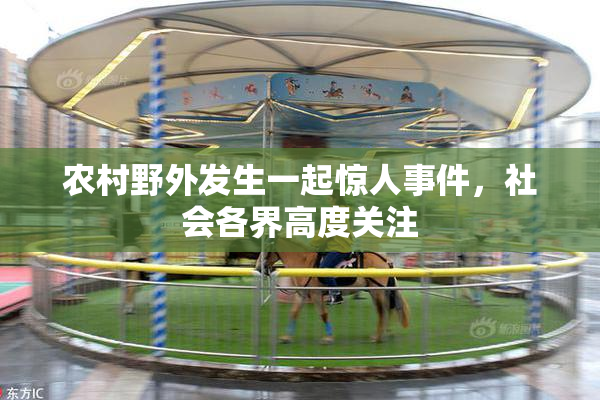 农村野外发生一起惊人事件，社会各界高度关注