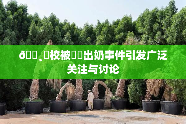 🌸‌校被❌‌出奶事件引发广泛关注与讨论