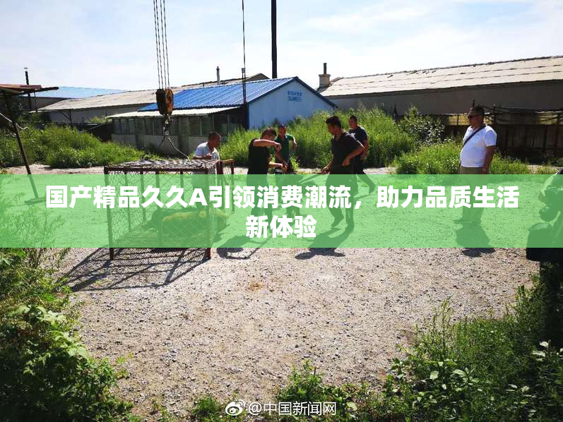 国产精品久久A引领消费潮流，助力品质生活新体验
