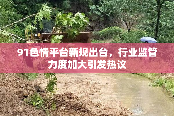 91色情平台新规出台，行业监管力度加大引发热议