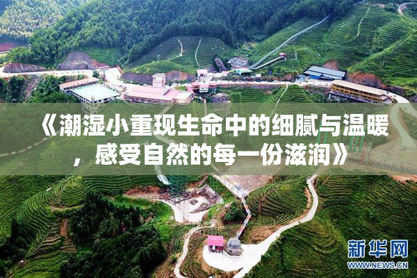 《潮湿小重现生命中的细腻与温暖，感受自然的每一份滋润》