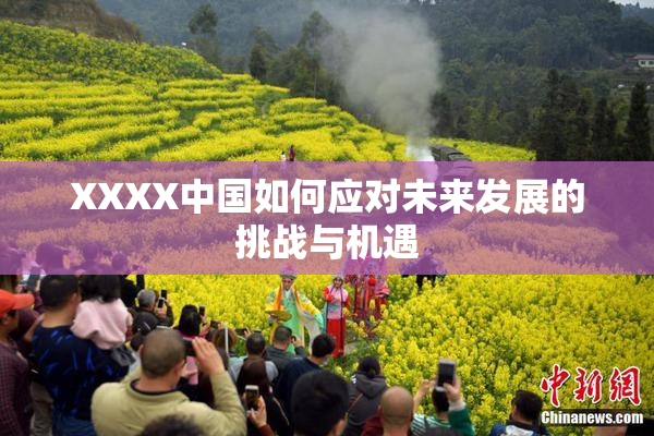 XXXX中国如何应对未来发展的挑战与机遇