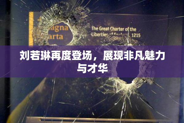 刘若琳再度登场，展现非凡魅力与才华