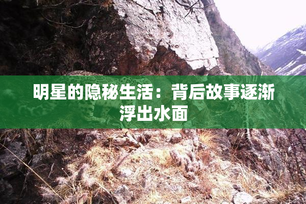 明星的隐秘生活：背后故事逐渐浮出水面
