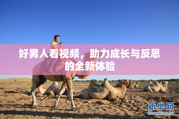 好男人看视频，助力成长与反思的全新体验