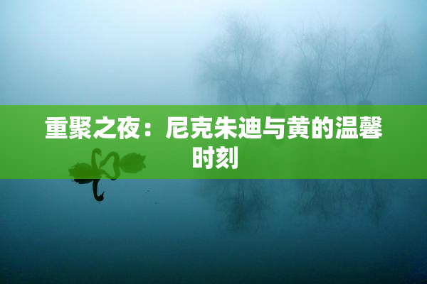 重聚之夜：尼克朱迪与黄的温馨时刻