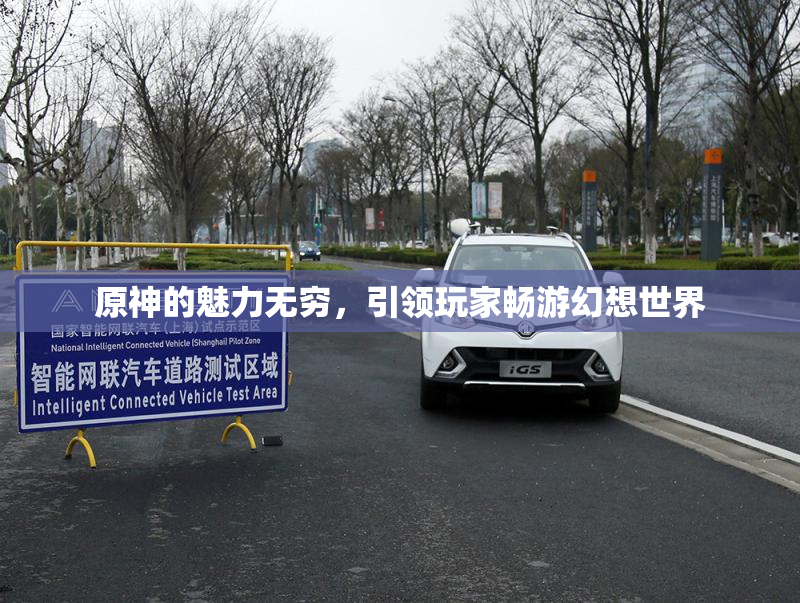 原神的魅力无穷，引领玩家畅游幻想世界