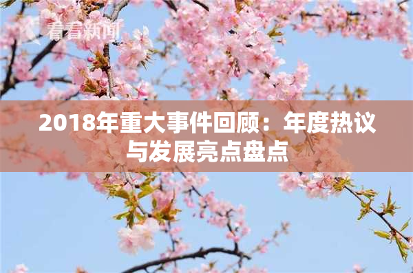 2018年重大事件回顾：年度热议与发展亮点盘点
