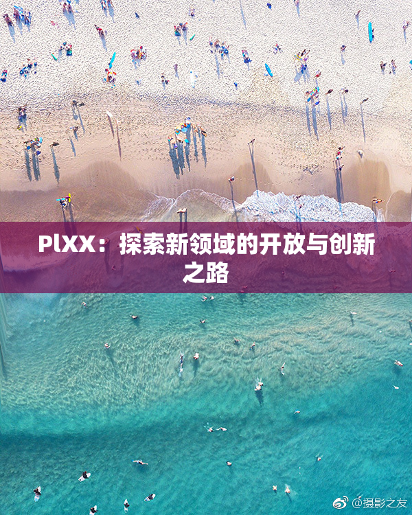 PlXX：探索新领域的开放与创新之路