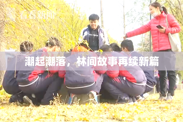 潮起潮落，林间故事再续新篇