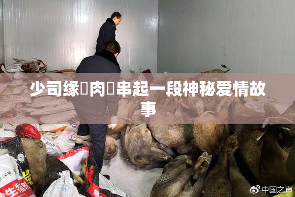 少司缘婬肉泬串起一段神秘爱情故事
