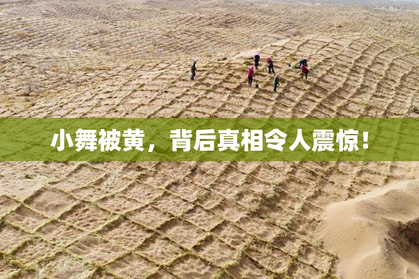 小舞被黄，背后真相令人震惊！