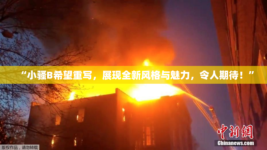 “小骚B希望重写，展现全新风格与魅力，令人期待！”