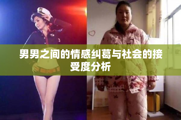 男男之间的情感纠葛与社会的接受度分析