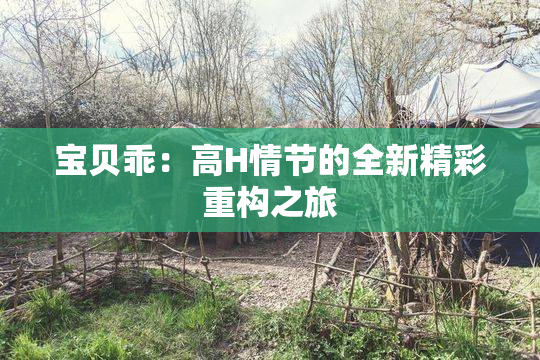 宝贝乖：高H情节的全新精彩重构之旅