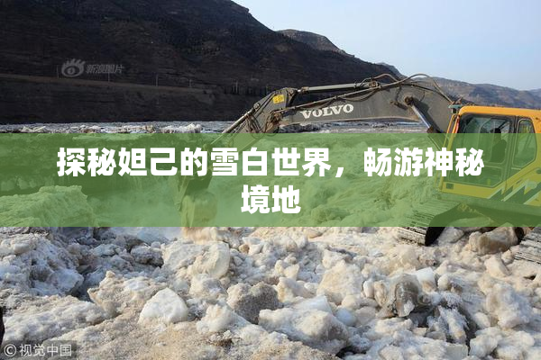 探秘妲己的雪白世界，畅游神秘境地