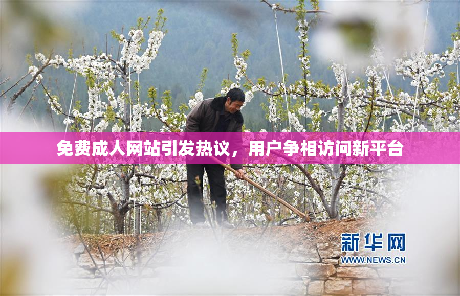 免费成人网站引发热议，用户争相访问新平台