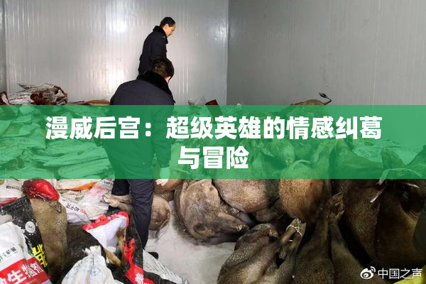 漫威后宫：超级英雄的情感纠葛与冒险