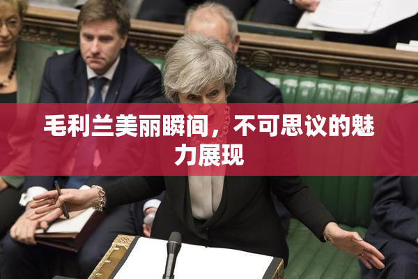 毛利兰美丽瞬间，不可思议的魅力展现